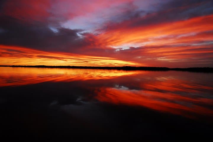 Private Everglades Photo and Birding Safari in the 10,000 Islands photo 3