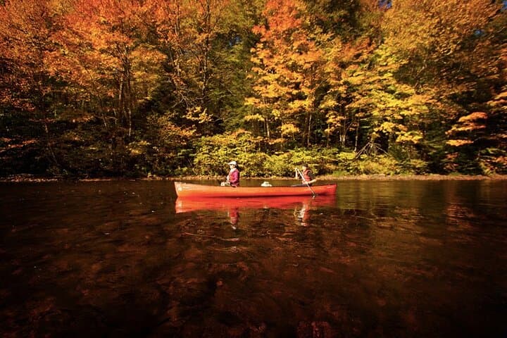 Self-Guided Rouge River Kayak and Paddleboard Descent — 12 km Calm Water Adventure photo 5