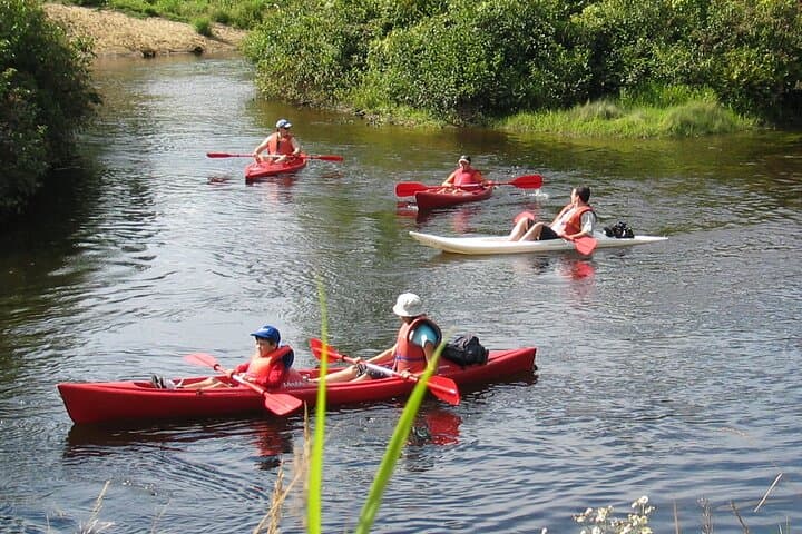 Self-Guided Rouge River Kayak and Paddleboard Descent — 12 km Calm Water Adventure photo 3