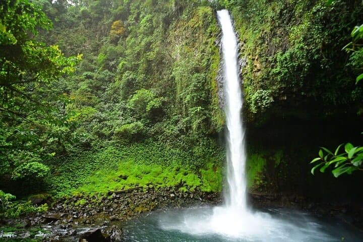 Horseback Riding at Arenal Foothills and La Fortuna Waterfall photo 2