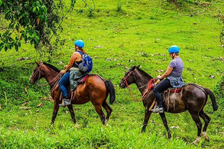 Horseback Riding at Arenal Foothills and La Fortuna Waterfall photo 3