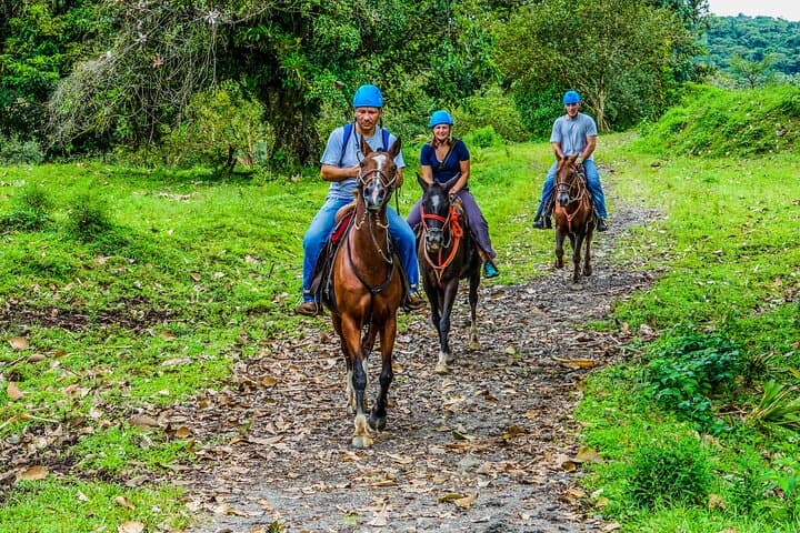 Horseback Riding at Arenal Foothills and La Fortuna Waterfall photo 5