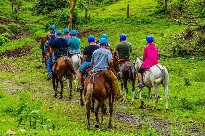 Horseback Riding at Arenal Foothills and La Fortuna Waterfall photo 6
