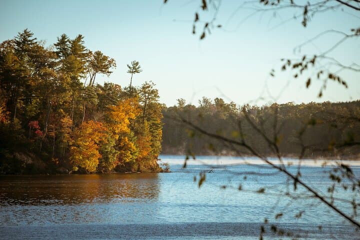 Half-Day Kayak Tour of Lake James: Naturalist-Led Paddle on North Carolina’s Clear Water photo 4