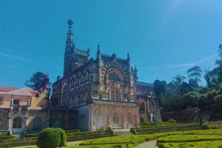 Bussaco Forest Half-Day Walking Tour from Coimbra photo 2