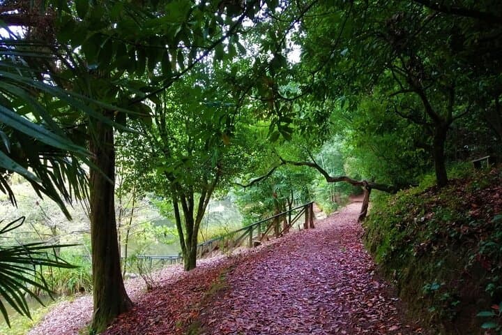 Bussaco Forest Half-Day Walking Tour from Coimbra photo 6