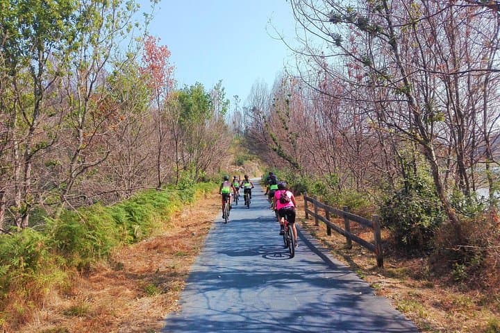 Full-Day Cycling Ecopista do Dão: 49 km One-Way E-Bike Tour from Coimbra photo 2