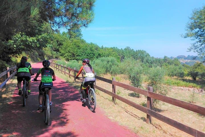 Full-Day Cycling Ecopista do Dão: 49 km One-Way E-Bike Tour from Coimbra photo 3