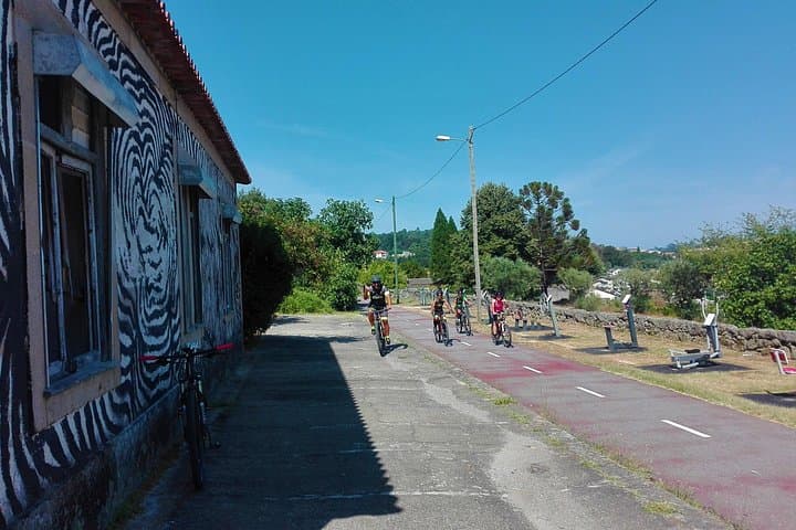 Full-Day Cycling Ecopista do Dão: 49 km One-Way E-Bike Tour from Coimbra photo 4