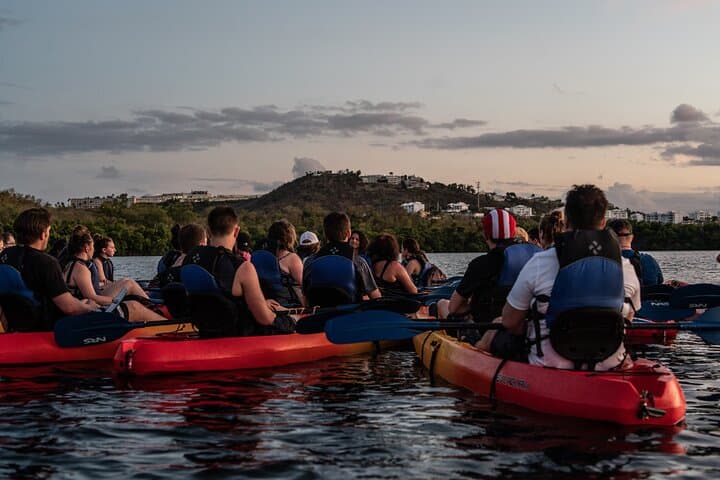 Fajardo Bio Bay Kayak Tour: Sunset Laguna Grande Bioluminescent Adventure
