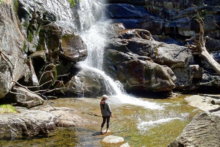 Ramsey Cascades Old-Growth Forest Hike — Strenuous Waterfall Day Trip from Gatlinburg photo 1