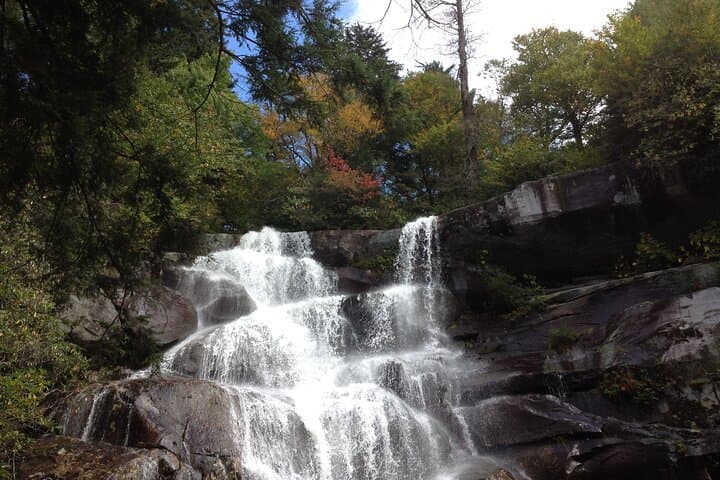 Ramsey Cascades Old-Growth Forest Hike — Strenuous Waterfall Day Trip from Gatlinburg photo 2
