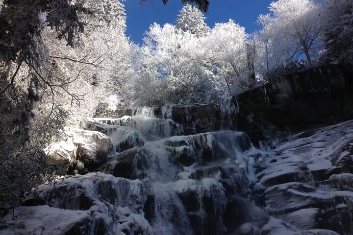 Ramsey Cascades Old-Growth Forest Hike — Strenuous Waterfall Day Trip from Gatlinburg photo 4