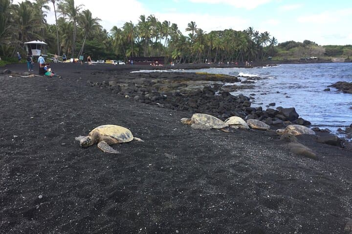 Kilauea Summit to Shore from Kona — Full-Day Small-Group Volcano & Coast Tour photo 4