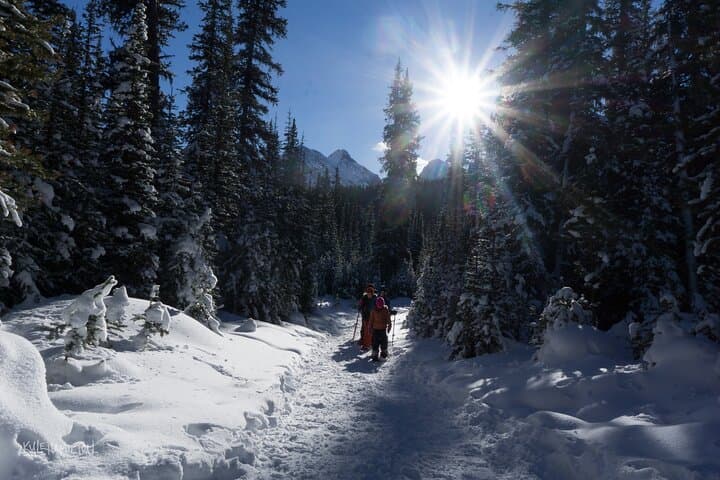 Snowshoeing in Kananaskis: Guided 2-Hour Winter Walk from Nakiska photo 5