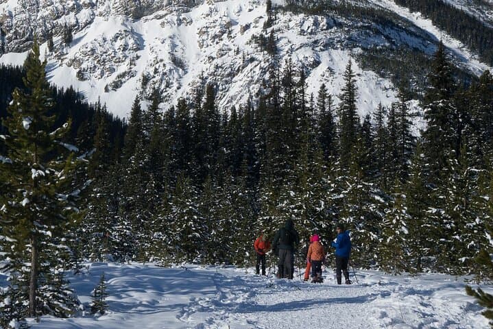 Snowshoeing in Kananaskis: Guided 2-Hour Winter Walk from Nakiska photo 6