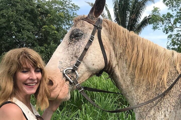 Jungle Farm Trail Ride and Xunantunich Maya Ruins Tour from San Ignacio