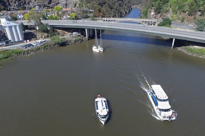Tamar Valley Luncheon Cruise to Batman Bridge & Cataract Gorge photo 5