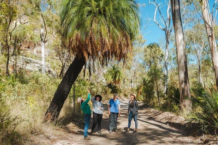 Discover the Lost World of the Carnarvons: Arch Rock, Rainbow Cave & Aboriginal Art photo 4