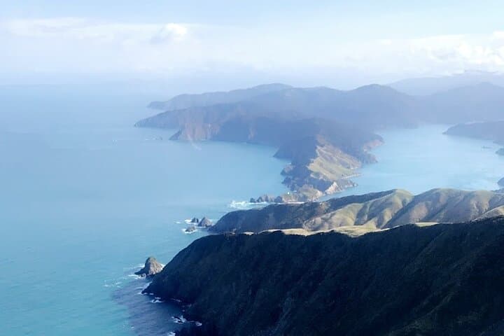 Heli Lunch at Bay of Many Coves: Marlborough Sounds Scenic Flight from Wellington photo 5