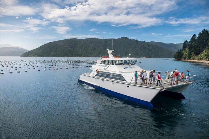 Marlborough Icons Tour: Wine Tasting and Seafood Cruise on Queen Charlotte Sound photo 5