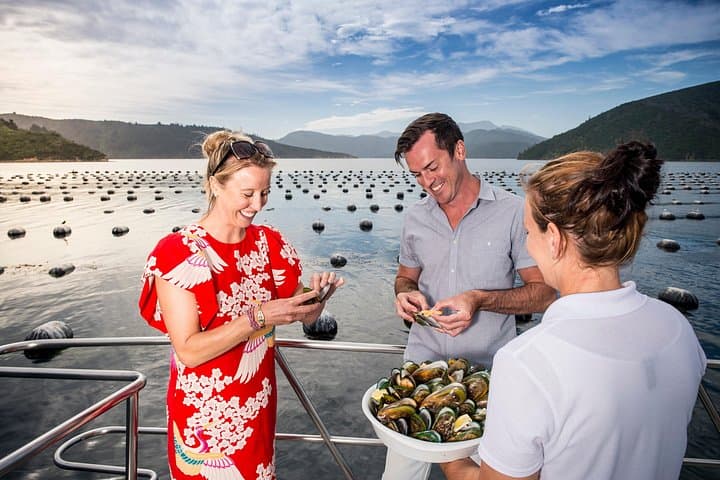 Marlborough Sounds Greenshell Mussel Tasting Cruise: Picton Half-Day Seafood Experience photo 3
