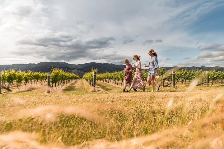 Marlborough Afternoon Wine Tour: Tastings in Blenheim's Vineyards photo 3