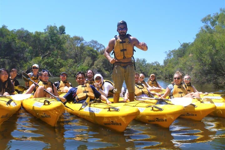 Kayak the Canning River: Half-Day Guided Paddle at Kent Street Weir photo 4