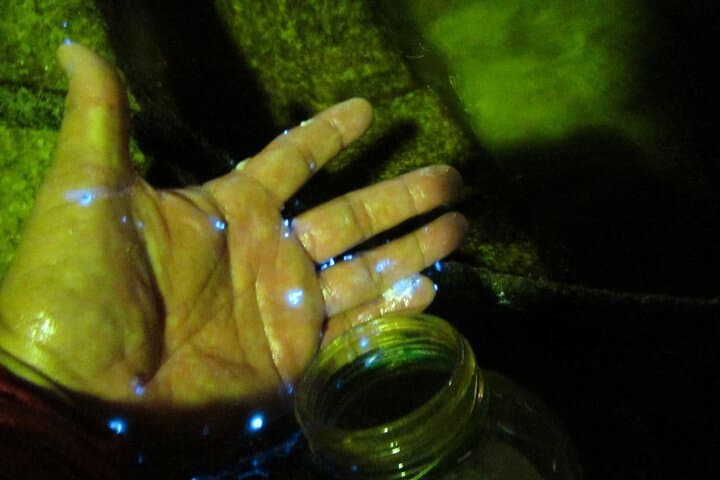 Night Kayak in Tomonoura: See Japan's Glowing Sea Fireflies photo 2