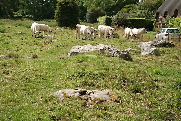 Stonehenge & Avebury in One Day: Full-Day Salisbury Megaliths Tour photo 5