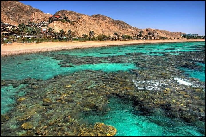 Glass-Bottom Boat Cruise Eilat: See the Red Sea Coral Without Getting Wet photo 5