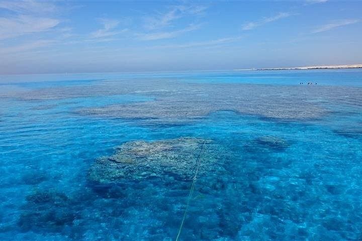 Glass-Bottom Boat Cruise Eilat: See the Red Sea Coral Without Getting Wet photo 6