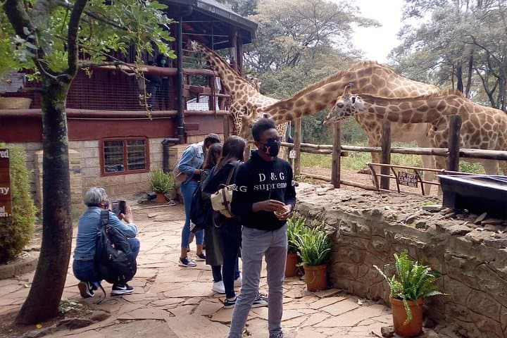 Nairobi City Full-Day Excursion: Urban Game Drives, Elephant Orphanage & Giraffe Centre photo 2