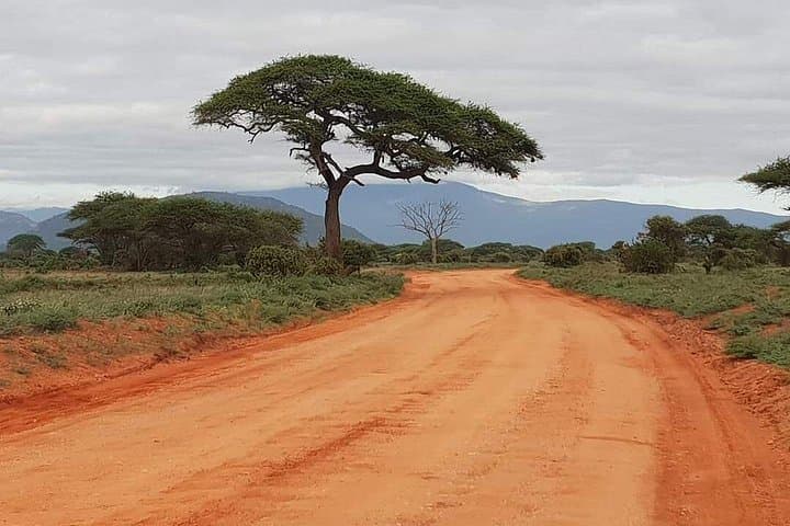 2-Day Private Safari in Tsavo East from Diani Beach — Overnight at Voi