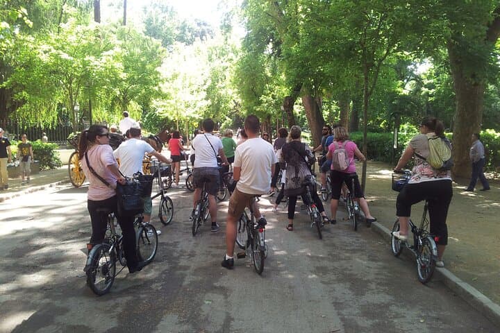Electric Bike Tour in Seville — 3-Hour Ride Past Plaza de España, Torre del Oro & Triana photo 6