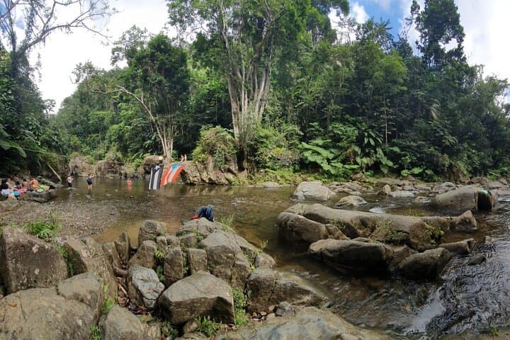 El Yunque Rainforest to Luquillo Beach: Half-Day Rainforest Walk and River Swim photo 4