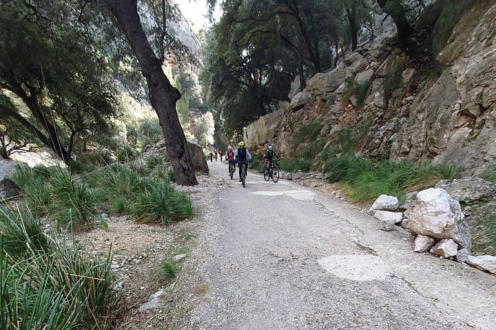 Half-Day Mountain Bike Tour to Serra de Tramuntana from Palma photo 4
