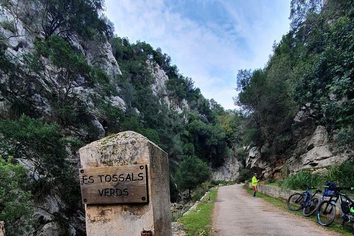 Half-Day Mountain Bike Tour to Serra de Tramuntana from Palma