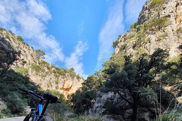 Half-Day Mountain Bike Tour to Serra de Tramuntana from Palma photo 3