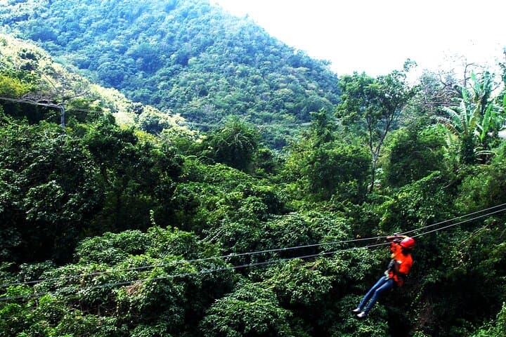 Antigua Zipline Canopy Adventure from St John's — Half-Day Rainforest Ziplines photo 3