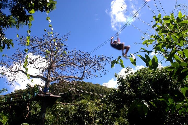 Antigua Zipline Canopy Adventure from St John's — Half-Day Rainforest Ziplines photo 4