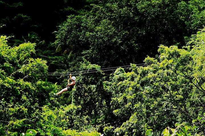 Antigua Zipline Canopy Adventure from St John's — Half-Day Rainforest Ziplines photo 6