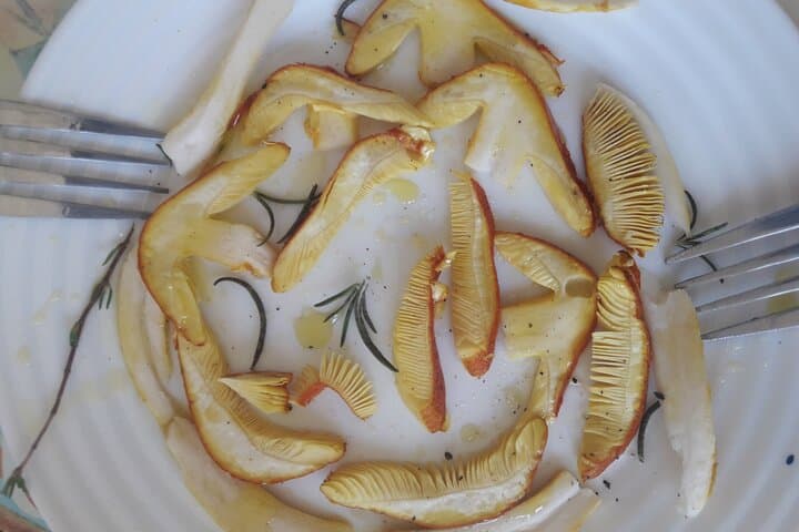 Gastronomic Wild Walk in Girona — Foraging, Mushrooms & Wild Tapas photo 5