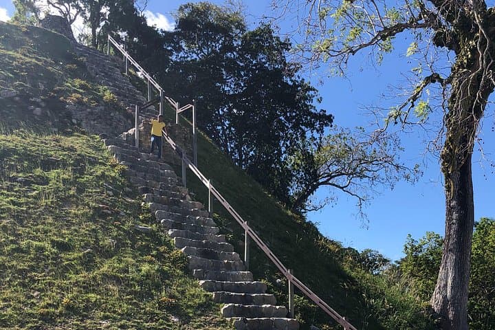 Altun Ha Maya Ruins Day Trip from Belize City — Guided Tour & Temple Climbs photo 4