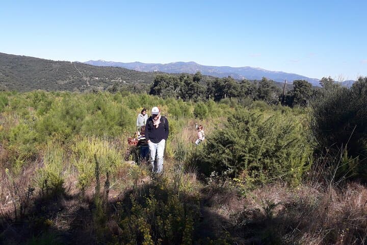 Gastronomic Wild Walk in Girona — Foraging, Mushrooms & Wild Tapas photo 2