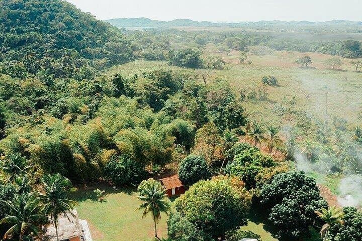 Rastafari Cultural ATV Experience from Negril — Village Drives, Mineral Pool & Ital Lunch photo 3