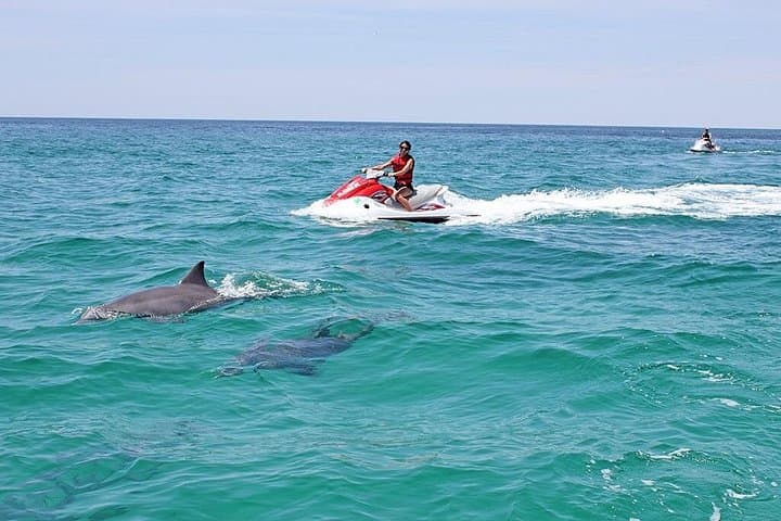 Crab Island Dolphin Jet-Ski Adventure: 2-Hour Guided Tour from Fort Walton Beach photo 3