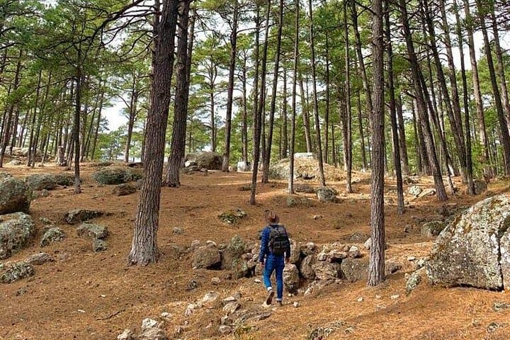 Creel Combined Tour: Tarahumara Villages, Arareko Lake & Cusarare Waterfalls photo 4