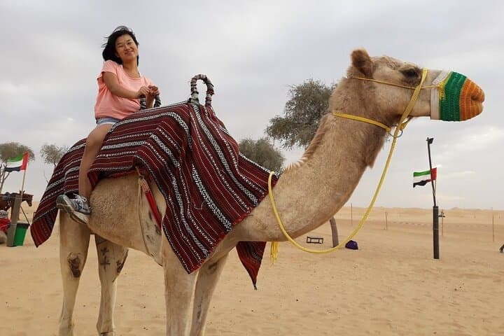 Morning Dubai Desert Safari — Dune Bashing, Camel Rides & Quad Bikes photo 4