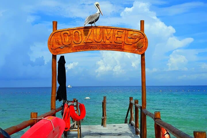 SkyReef Cozumel Snorkel and Tequila Tasting Beach Club Experience photo 5